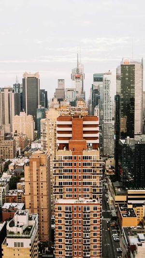 蜘蛛池建造图片截图1