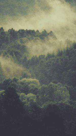 seo优化图片截图1