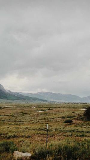 国内蜘蛛池排名第几截图2