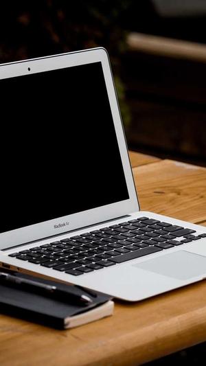 蜘蛛池 霸屏截图1