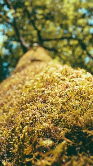 搜狗蜘蛛池提供商截图2