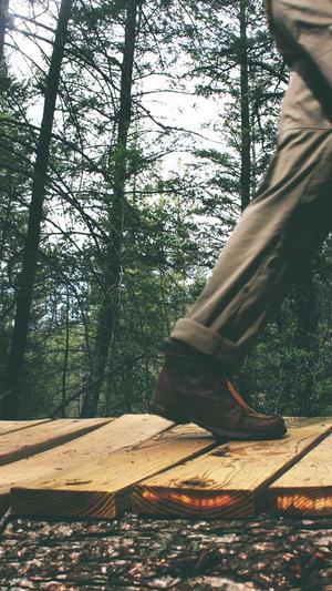 聊城网站建设截图3