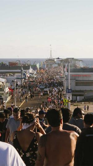 蜘蛛池搭建价格截图3