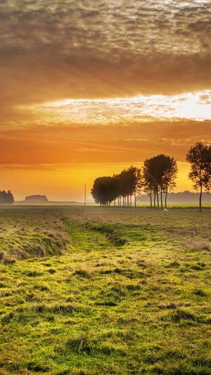 seo泛目录教程截图3