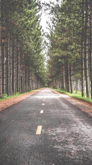 蜘蛛池骗局视频下载截图4