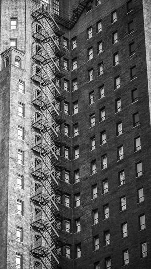 小霸王蜘蛛池破解版截图2