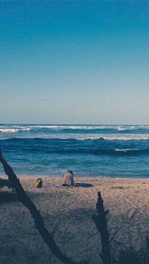 蜘蛛池工具全志zjkwlgs截图1