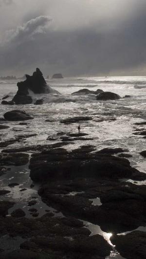 二级目录就是泛目录吗截图4