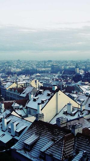 阿里蜘蛛池dns解析错误截图3