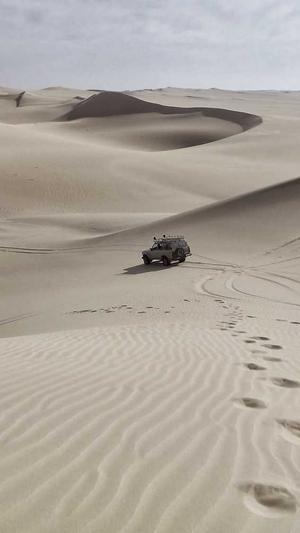 seo 优化工具截图1