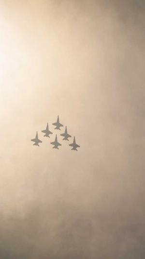 seo工具包价格截图3