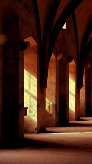 seo 优化的工具截图2