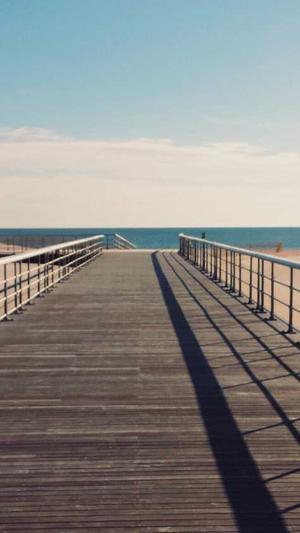 什么是蜘蛛池图片截图5