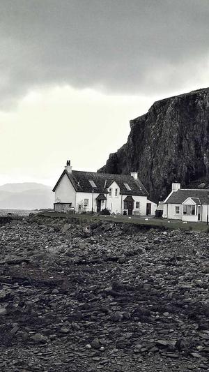 蜘蛛池最怕什么虫截图2