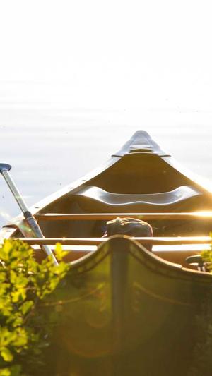 免费蜘蛛池测试网站截图3