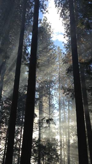 蜘蛛池搭建多少钱截图2