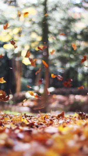 银川网站建设截图4