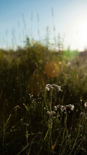 西宁网站建设公司截图1
