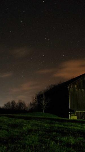 蜘蛛池模板更换影响截图4