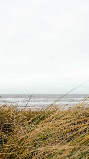 网站建设公司哪家好截图3