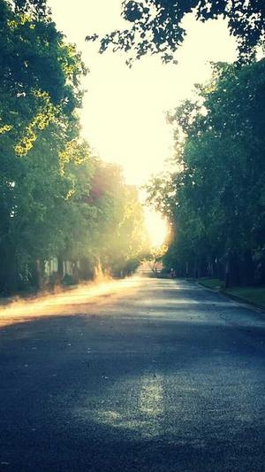 中国建设部官方网站截图5