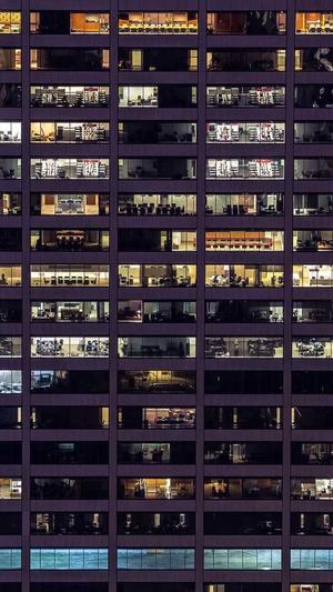 seo实战密码截图5