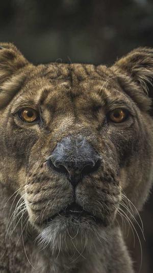 小强泛目录站群破解版截图5