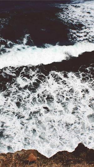 优化蜘蛛池截图3