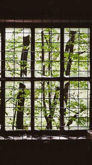 网站建设计划书截图2