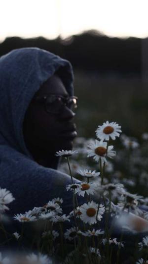 阿里蜘蛛池效果怎么样截图1