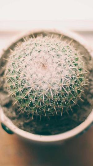 seo如何优化截图4