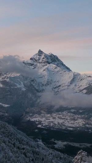 泛目录怎么收录截图2