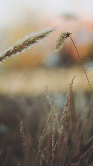 百度蜘蛛池收益怎么来截图3