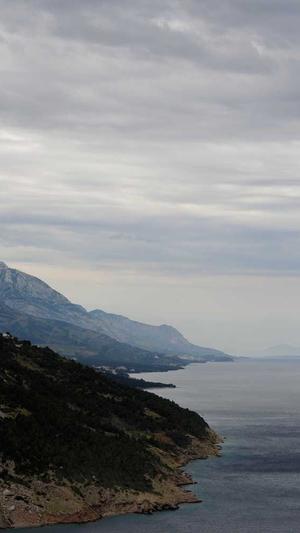 上海移动网站建设截图1