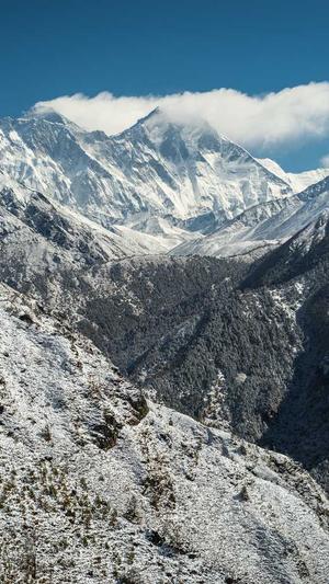网站蜘蛛池注意事项截图1