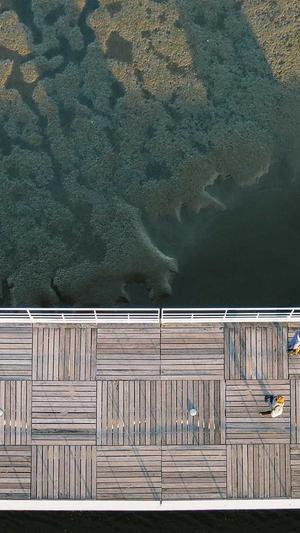 快速优化seo工具截图1