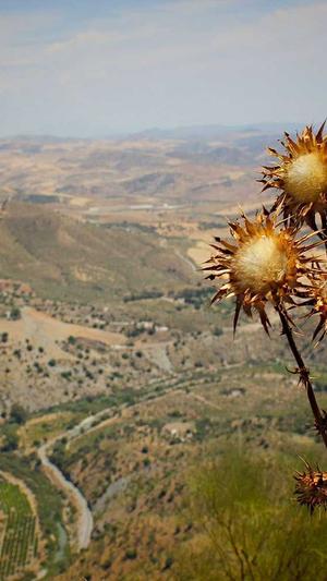 seo推广网站截图2