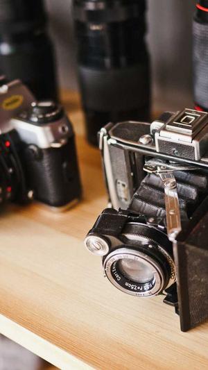 seo链接工具截图3