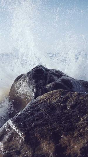 哪网站建设好截图5