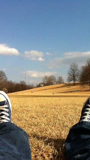 高端网站建设公司截图5