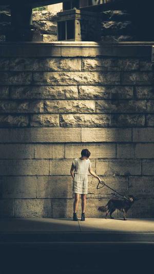 搜狗泛目录怎么做截图4