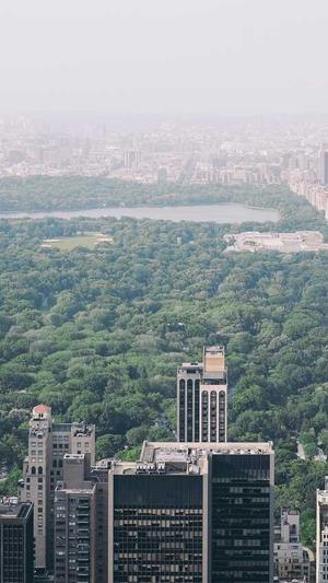 谷歌seo排名查询工具截图1