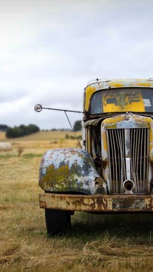 泛目录和寄生虫的区别截图2