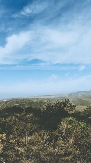 重庆seo优化怎么样截图1