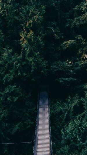 网站seo教程截图4