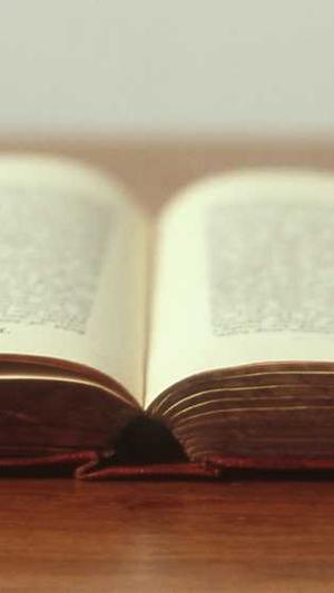 蜘蛛池和快排截图3