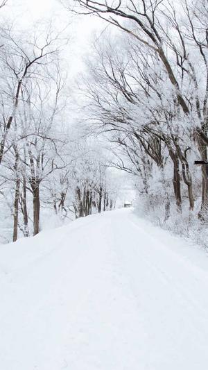 秒收录工具seo平台截图5