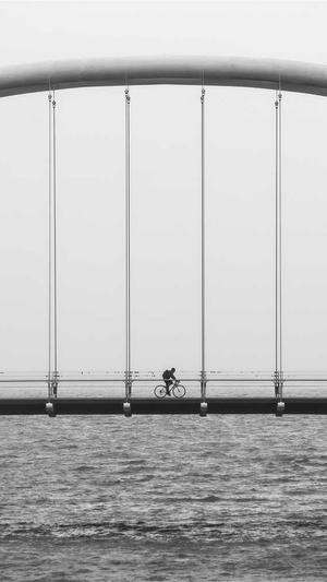 做网站建设公司截图2