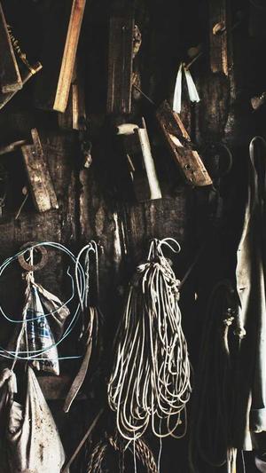 seo 优化工具截图4