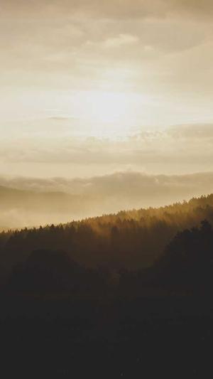 河北省建设厅网站截图3